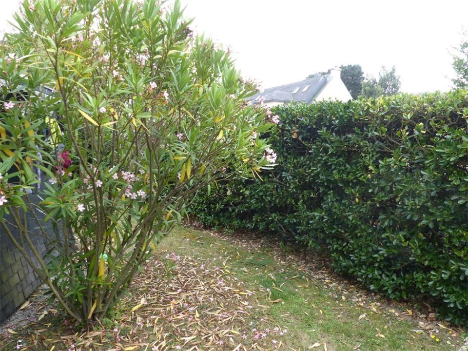 Port An Dro 1 - Wifi, Jardin, Plage 200M - K295 Carnac Exterior photo